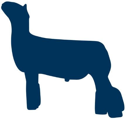 sheep icon